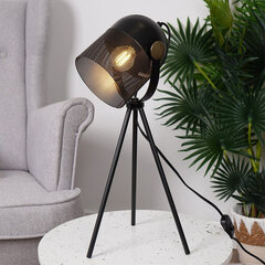 Настольная лампа, 51 см цена и информация | Настольные светильники | pigu.lt