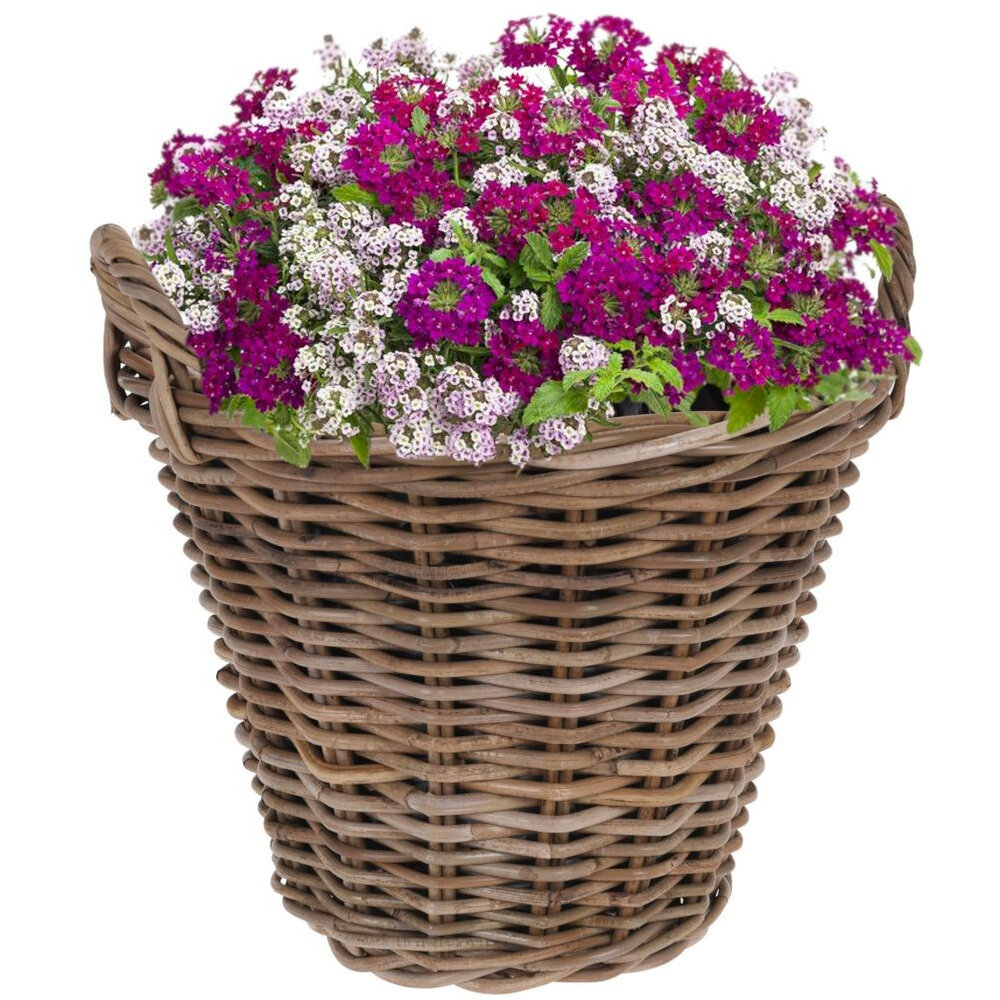 Gėlių vazonas orion, 43x40x36 cm цена и информация | Vazonai | pigu.lt