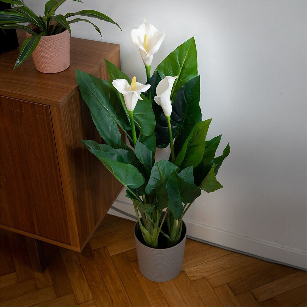 Dirbtinis augalas Kalija kaina ir informacija | Dirbtinės gėlės | pigu.lt