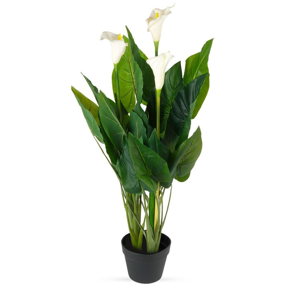 Dirbtinis augalas Kalija kaina ir informacija | Dirbtinės gėlės | pigu.lt