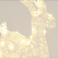 Šviečianti kalėdinė dekoracija Šiaurės elnias kaina ir informacija | Kalėdinės dekoracijos | pigu.lt