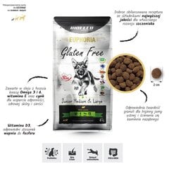 Biofeed Euphoria Gluten Free Junior Medium&Large su ėriena, 12 kg kaina ir informacija | Sausas maistas šunims | pigu.lt