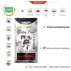 Biofeed Euphoria Gluten Free Junior Small&Medium su jautiena, 12kg kaina ir informacija | Sausas maistas šunims | pigu.lt