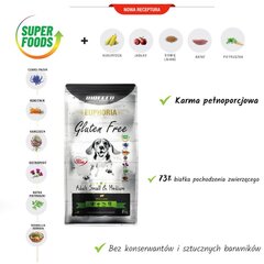 Biofeed Euphoria Gluten Free suaugusiems mažų ir vidutinių veislių šunims su ėriena, 2 kg kaina ir informacija | Sausas maistas šunims | pigu.lt