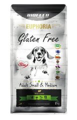 Biofeed Euphoria Gluten Free suaugusiems mažų ir vidutinių veislių šunims su ėriena, 2 kg цена и информация | Сухой корм для собак | pigu.lt