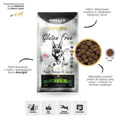 Biofeed Euphoria Gluten Free suaugusiems didelių ir vidutinių veislių šunims su ėriena, 12 kg цена и информация | Сухой корм для собак | pigu.lt