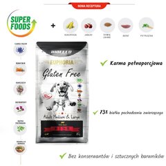 Biofeed Euphoria Gluten Free Adult Medium&Large su jautiena, 12kg kaina ir informacija | Sausas maistas šunims | pigu.lt