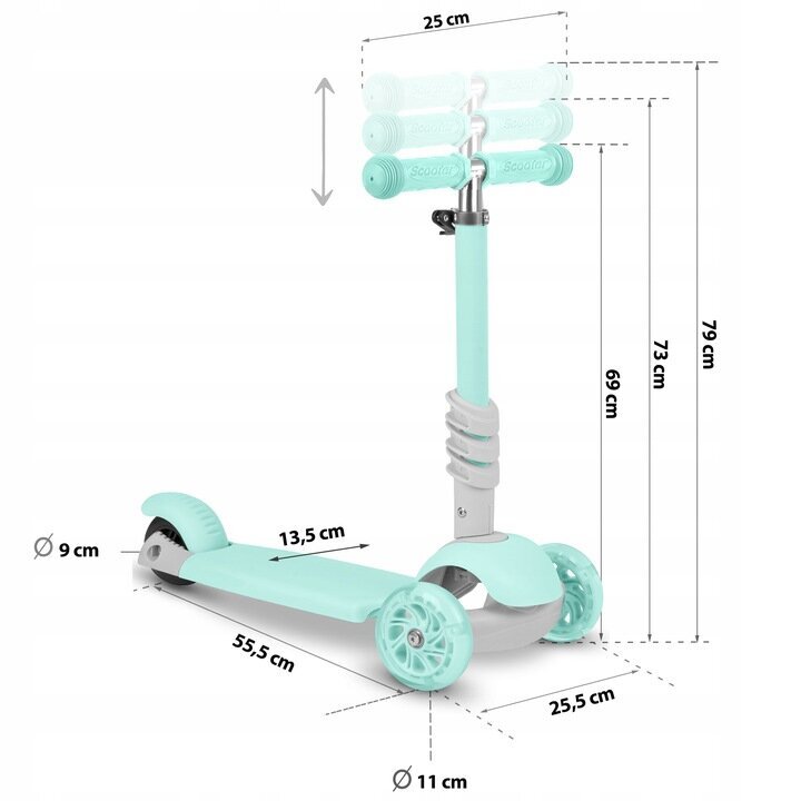 Vaikiškas paspirtukas RicoKids Buggy 765301, mėlynas цена и информация | Paspirtukai | pigu.lt