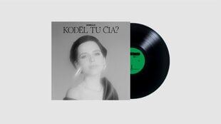 Vinilinė plokštelė Monika Liu Kodėl tu čia? kaina ir informacija | Vinilinės plokštelės, CD, DVD | pigu.lt