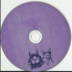 CD Fall Out Boy Mania цена и информация | Виниловые пластинки, CD, DVD | pigu.lt