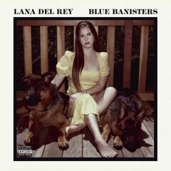 Vinilinė plokštelė Lana Del Rey Blue Banisters kaina ir informacija | Vinilinės plokštelės, CD, DVD | pigu.lt