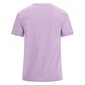 Guess marškinėliai vyrams, violetiniai цена и информация | Vyriški marškinėliai | pigu.lt