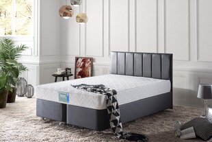 Čiužinys Hazan 180x200 cm Double Size Firm Mattress цена и информация | Матрасы | pigu.lt