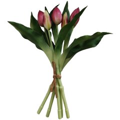 Dirbtinė puokštė Tulpės kaina ir informacija | Dirbtinės gėlės | pigu.lt