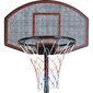 Krepšinio rinkinys Enero, 39x42 cm kaina ir informacija | Krepšinio stovai | pigu.lt