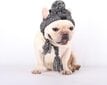 Kepurė šunims Pet Pompom, pilka kaina ir informacija | Drabužiai šunims | pigu.lt