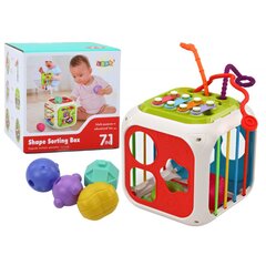 Edukacinis rūšiavimo kubas Lean Toys kaina ir informacija | Žaislai kūdikiams | pigu.lt