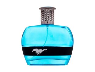 Tualetinis vanduo Ford Mustang Blue EDT vyrams, 100 ml kaina ir informacija | Kvepalai vyrams | pigu.lt