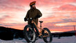 Elektrinis dviratis Tunturi eMAX EB-F600, 40 cm, 26" smėlio spalvos kaina ir informacija | Elektriniai dviračiai | pigu.lt