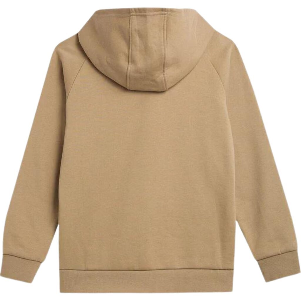 Džemperis berniukams 4F, rudas цена и информация | Megztiniai, bluzonai, švarkai berniukams | pigu.lt
