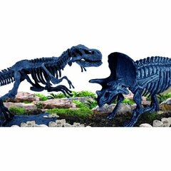 Kūrybinis rinkinys Lisciani Paleontologijos laboratorija 3in1 цена и информация | Развивающие игрушки | pigu.lt