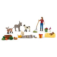 Figūrėlių komplektas Schleich Farm World, įvairių spalvų, 34 d. цена и информация | Игрушки для мальчиков | pigu.lt