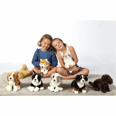 Pūkuotas žaislas Gipsy Šuo, įvairių spalvų kaina ir informacija | Minkšti (pliušiniai) žaislai | pigu.lt