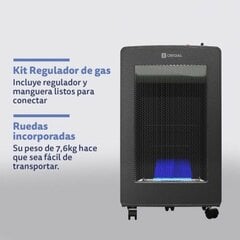 Dujinis šildytuvas Origial Radiance 4200W цена и информация | Обогреватели | pigu.lt