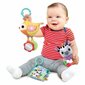 Kūdikio žaislų rinkinys Vtech Baby baby animal birth box цена и информация | Žaislai kūdikiams | pigu.lt