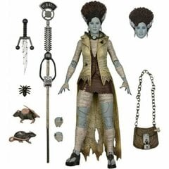 Veiklos rodikliai Monsters Neca April Bride Frankenstein, įvairių spalvų kaina ir informacija | Žaislai berniukams | pigu.lt