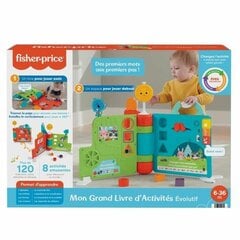 Kūdikių veiklos knyga Fisher Price kaina ir informacija | Žaislai kūdikiams | pigu.lt