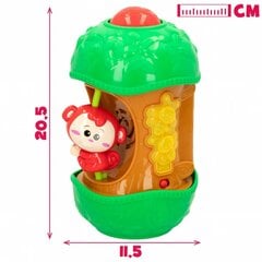 Interaktyvus žaislas Beždžionėlė Winfun, 6 vnt. kaina ir informacija | Žaislai kūdikiams | pigu.lt
