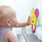 Barškučių rinkinys Winfun, 4 vnt. kaina ir informacija | Žaislai kūdikiams | pigu.lt