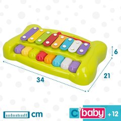 Muzikinis žaislas Colorbaby Metalafinas, 6 vnt. цена и информация | Развивающие игрушки | pigu.lt