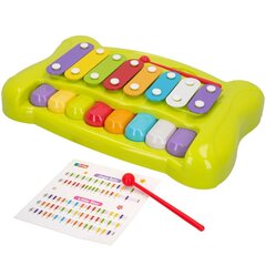 Muzikinis žaislas Colorbaby Metalafinas, 6 vnt. цена и информация | Развивающие игрушки | pigu.lt