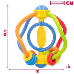 Sensorinis žaislas Winfun, 12 vnt. kaina ir informacija | Žaislai kūdikiams | pigu.lt