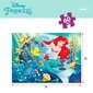 Dėlionė Disney Princess Lisciani, 60 d, 6 vnt. kaina ir informacija | Dėlionės (puzzle) | pigu.lt