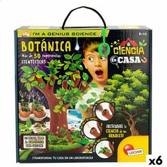 Kūrybinis rinkinys Lisciani Botanika, 6 vnt. kaina ir informacija | Lavinamieji žaislai | pigu.lt