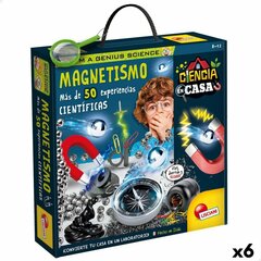 Kūrybinis rinkinys Lisciani Magnetizamas, 6 vnt. kaina ir informacija | Lavinamieji žaislai | pigu.lt