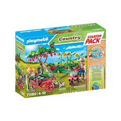 71380 Playmobil Country Vegetable Garden фигурки цена и информация | Конструкторы и кубики | pigu.lt