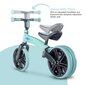 Vaikiškas dviratis Yvolution YT27B2, žalia цена и информация | Balansiniai dviratukai | pigu.lt