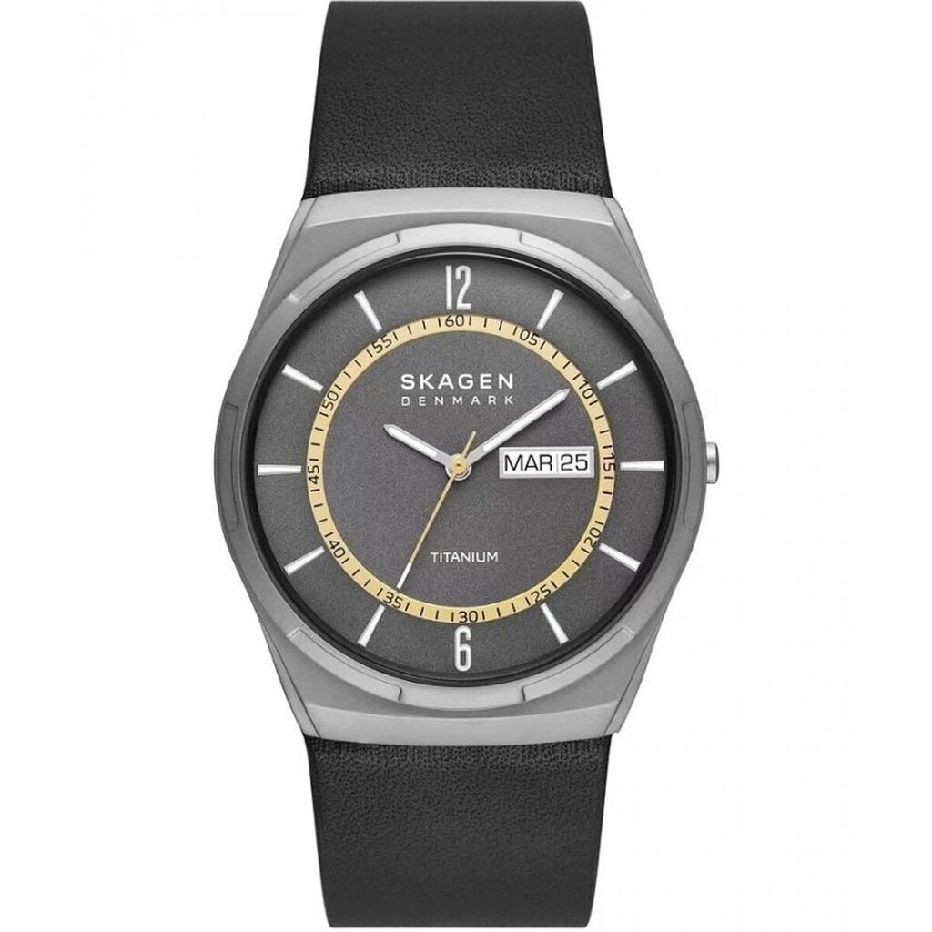 Laikrodis vyrams Skagen MELBYE TITANIUM (Ø 43 mm) S7293991 kaina ir informacija | Moteriški laikrodžiai | pigu.lt