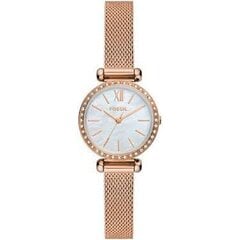 Laikrodis moterims Fossil TILLIE MINI (Ø 26 mm) S7293452 цена и информация | Женские часы | pigu.lt