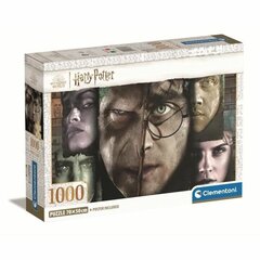 Dėlionė Harry Potter Clementoni, 1000 d. kaina ir informacija | Dėlionės (puzzle) | pigu.lt