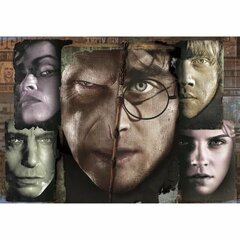 Dėlionė Harry Potter Clementoni, 1000 d. kaina ir informacija | Dėlionės (puzzle) | pigu.lt