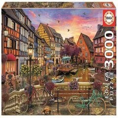 Dėlionė France Educa, 3000 d. kaina ir informacija | Dėlionės (puzzle) | pigu.lt