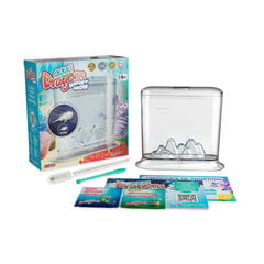 Прозрачный набор для аквариума цена и информация | Развивающие игрушки | pigu.lt