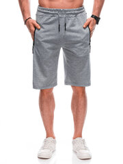 спортивные штаны w483 - серые 125021-78 цена и информация | Мужские шорты | pigu.lt