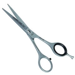 Žirklės plaukams Henbor Classic 799/5.0, 1 vnt. цена и информация | Расчески, щетки для волос, ножницы | pigu.lt