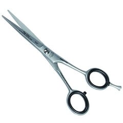Žirklės plaukams Henbor Top Line 810/5.5, 1 vnt. цена и информация | Расчески, щетки для волос, ножницы | pigu.lt